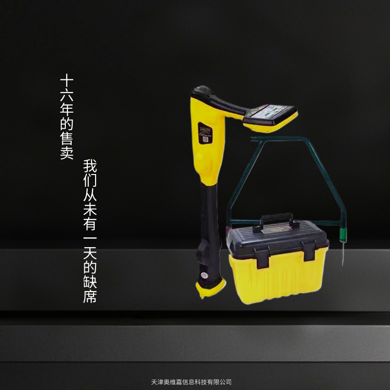 DM3防腐层自动化检测仪威脉